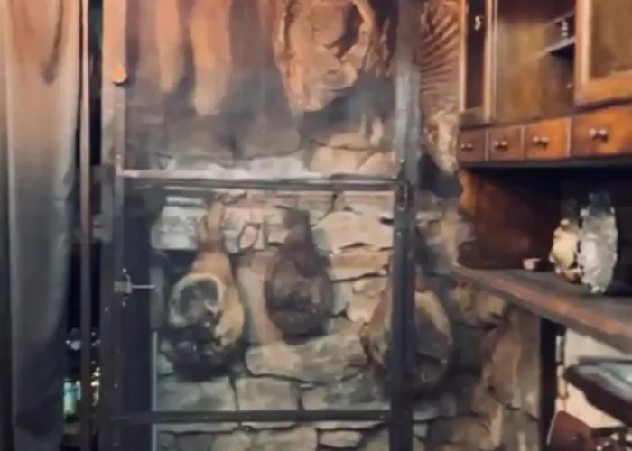 Etno Selo - Familie Raickovic Будинок відпочинку