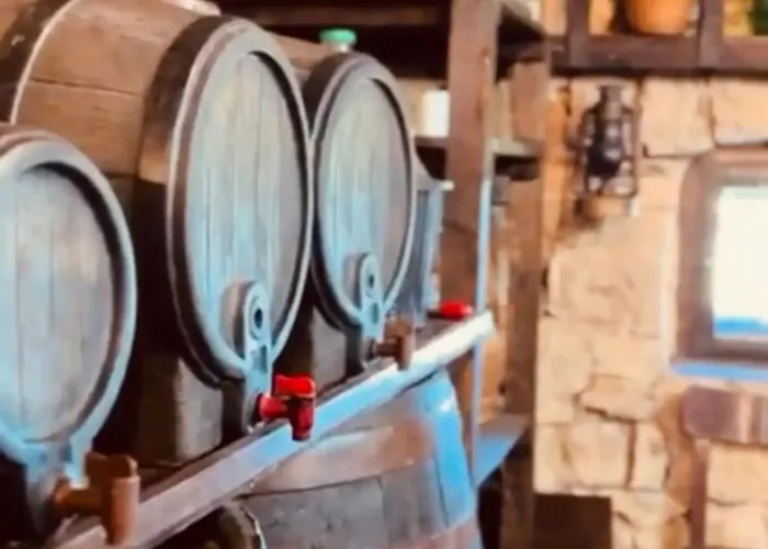 Etno Selo - Familie Raickovic Будинок відпочинку Подгориця